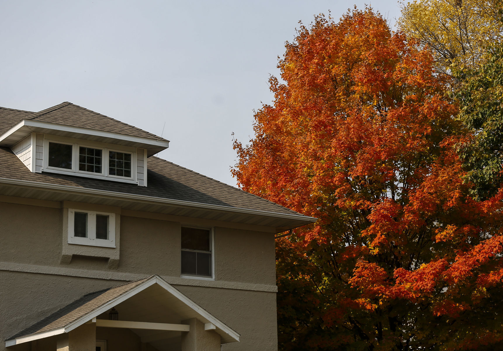 Fall Colors 3